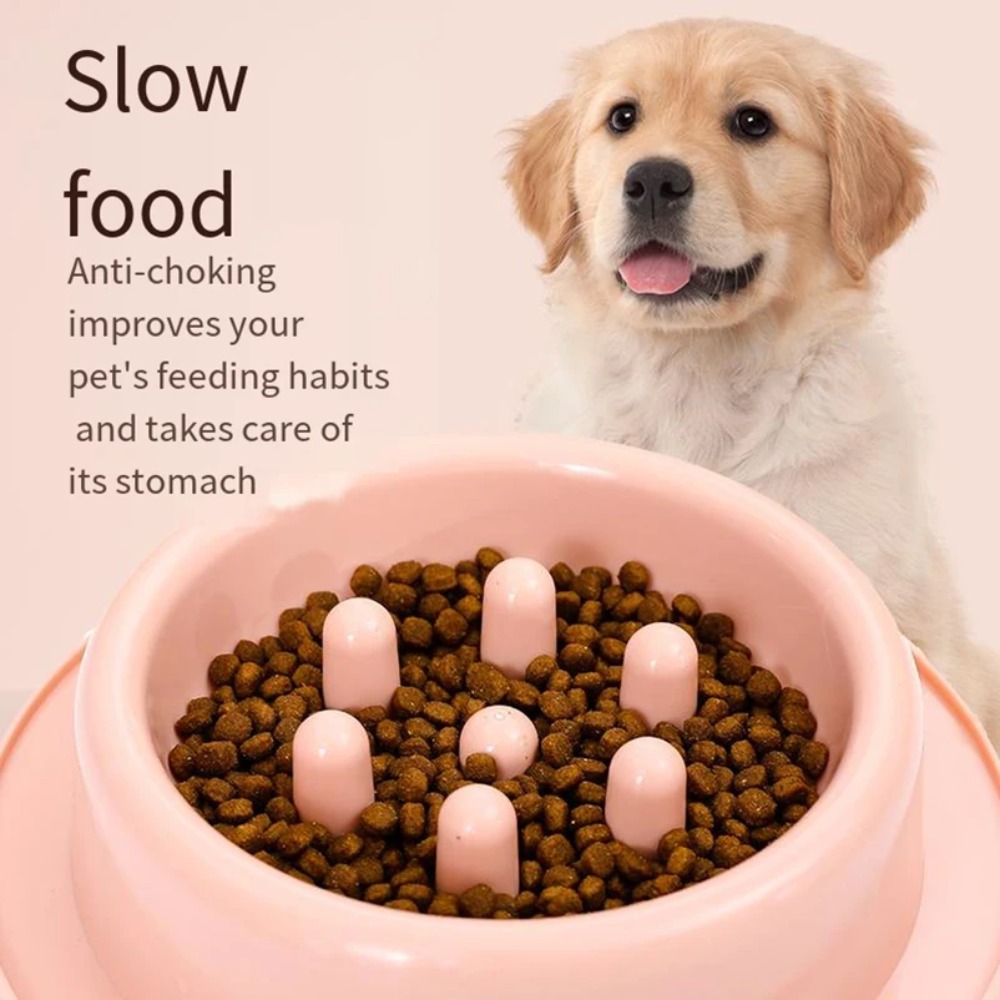 ペット用犬用スローフィーダーボウル。滑り止め加工で、食べ物を - Royal Canin Food Medium のレビューと価格